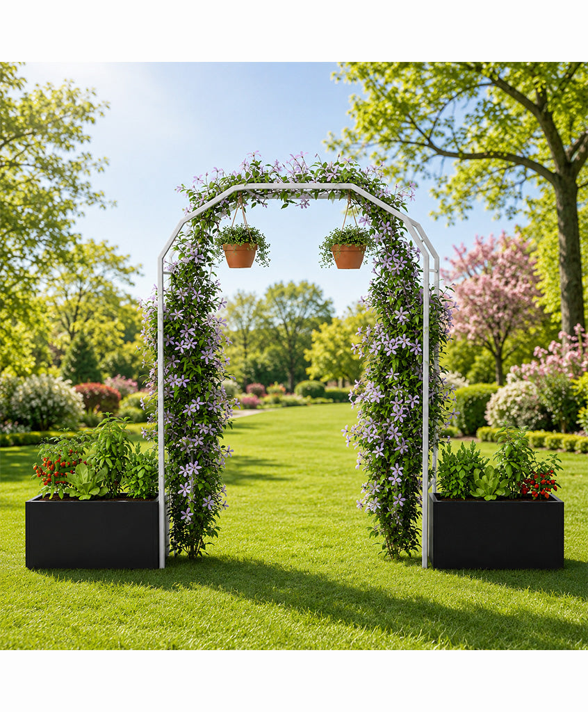 Arco Vivo Garden