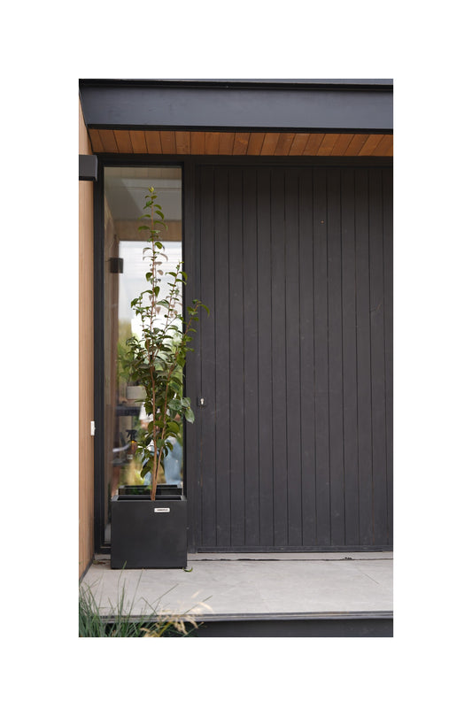 Maceta IronLeaf Bajo