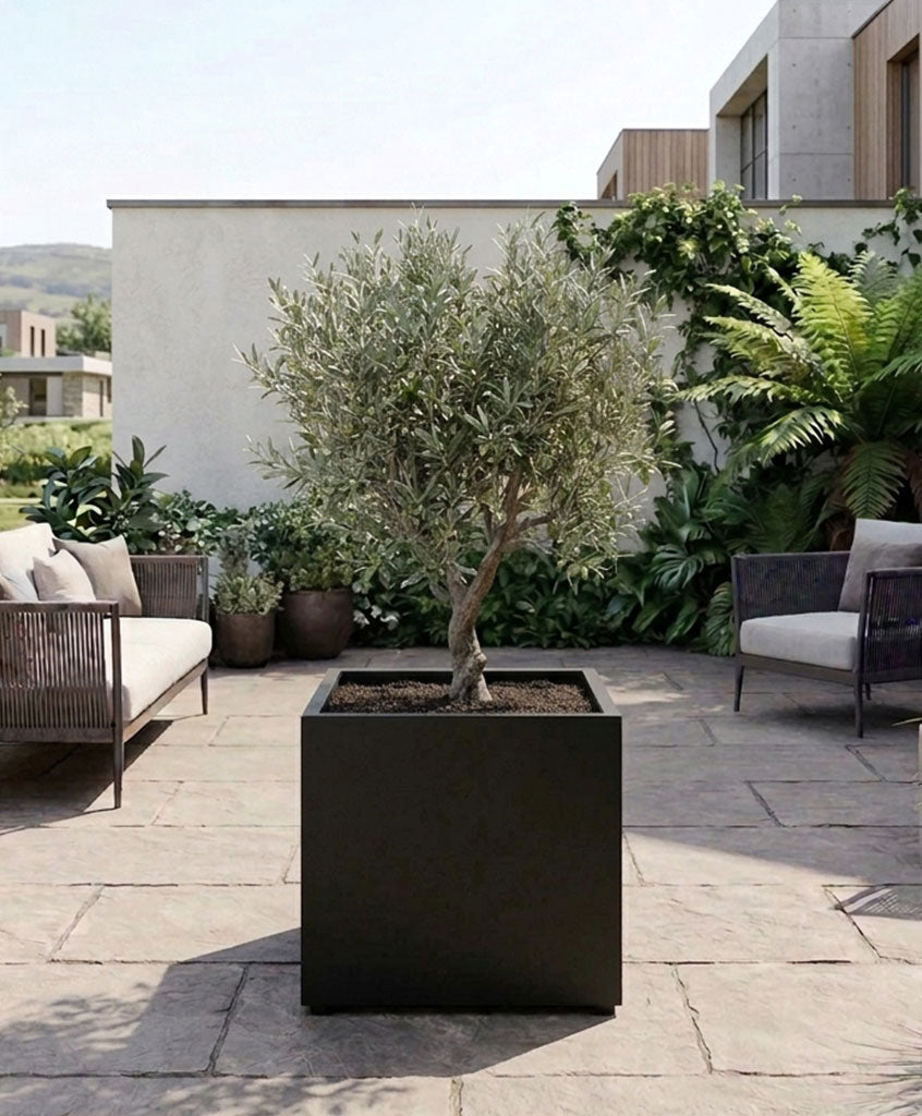 Maceta IronLeaf Mediano