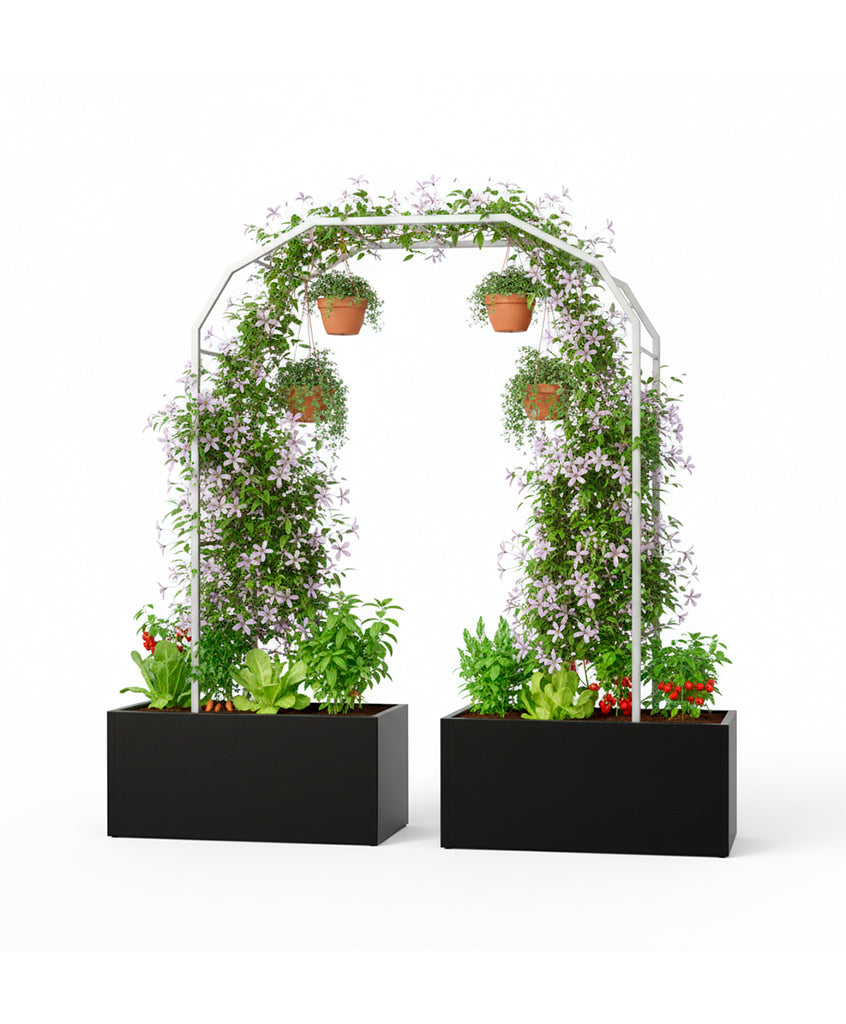 Pack Arco Vivo + Jardinera Wall Panel
