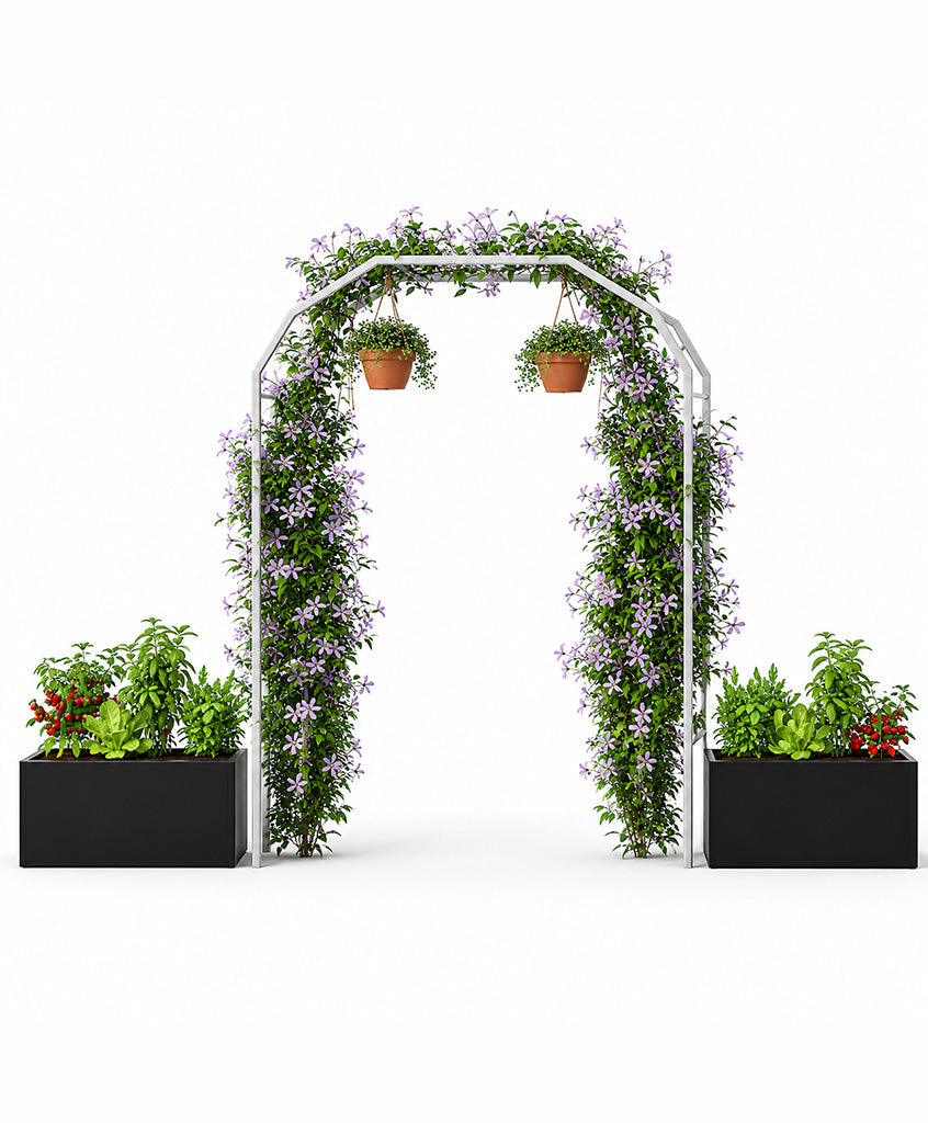 Arco Vivo Home