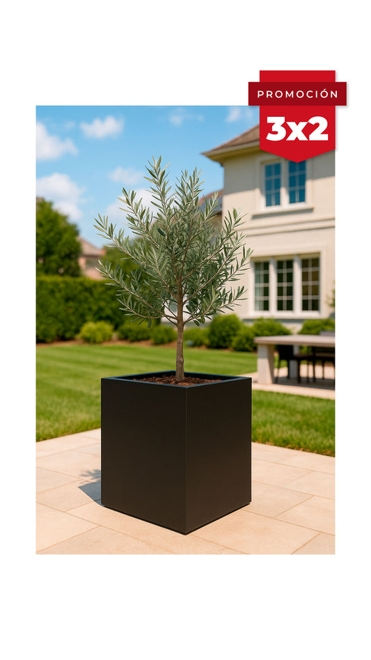 Maceta IronLeaf Mediano (Sale)