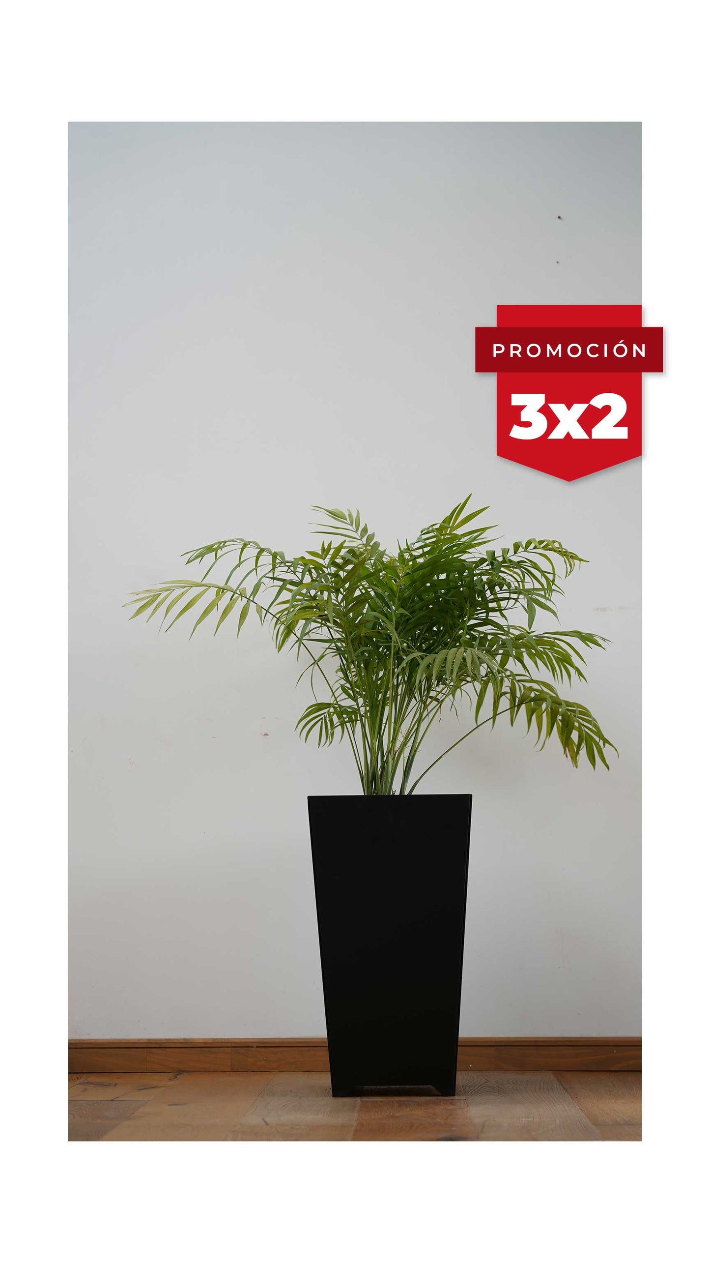 Macetero Cónix (Sale)