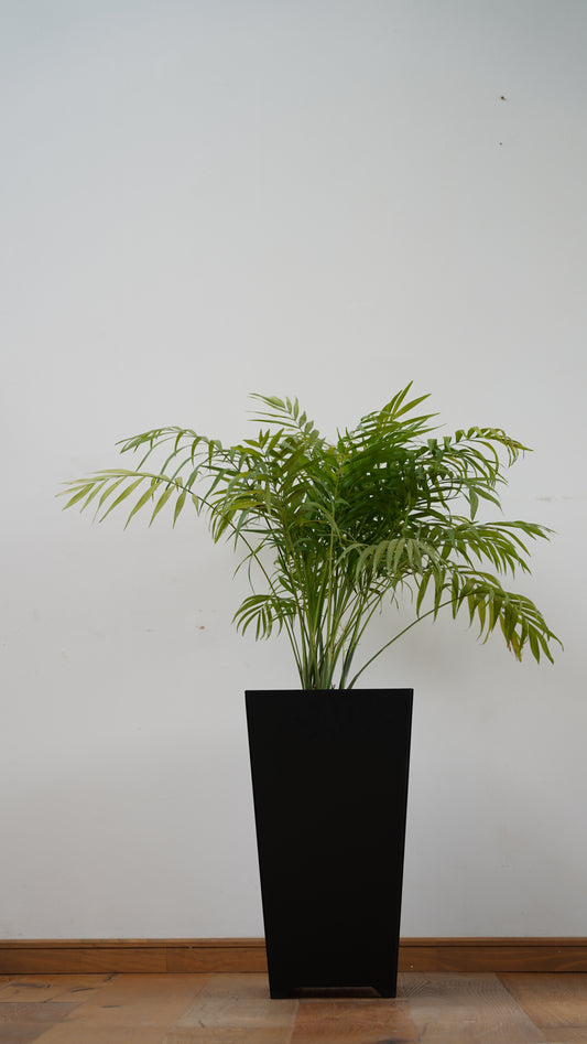 Macetero Cónix Bajo