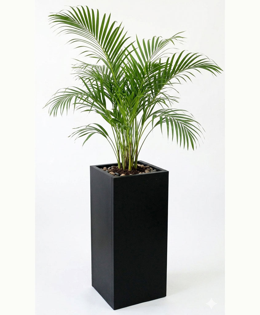 Maceta IronLeaf Alto / 3x2